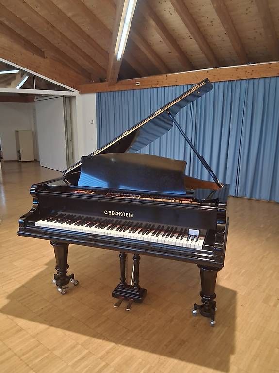 Instruments de musique: Bechstein Flügel B – D'occasion à Dornach par inf_vtl8 3