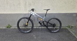 Canyon Torque CF Fabio Wibmer in Grösse L