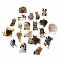 Cat Meme Stickers – 20 einzigartige Designs 😺