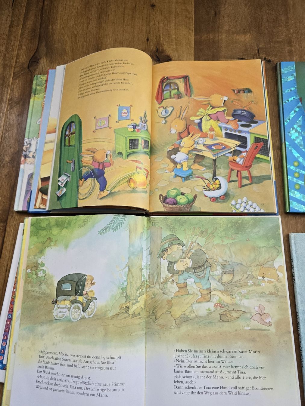 Libri: bücher set – Usato da Wittenbach venduto da Tigerlili 2