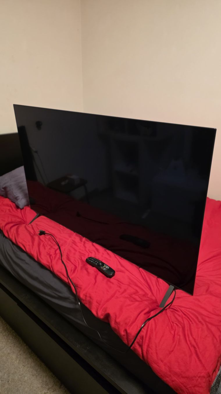 Televisori: LG OLED Fernseher mit 55 Zoll – Usato da Winterthur venduto da sal_z75q