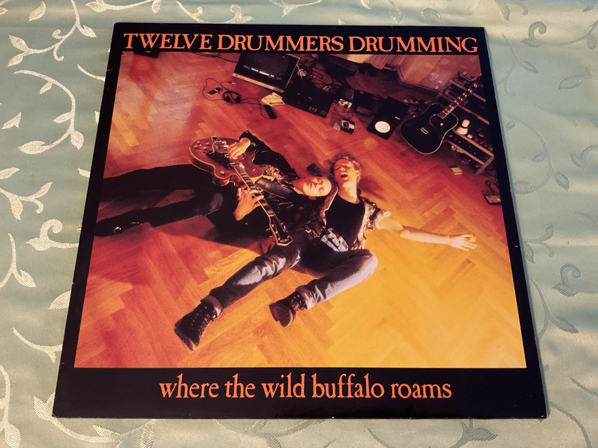Dischi in vinile: Twelve Drummers Drumming - Where The Wild Buffalo Roams – Usato da Steinach venduto da Quarkie