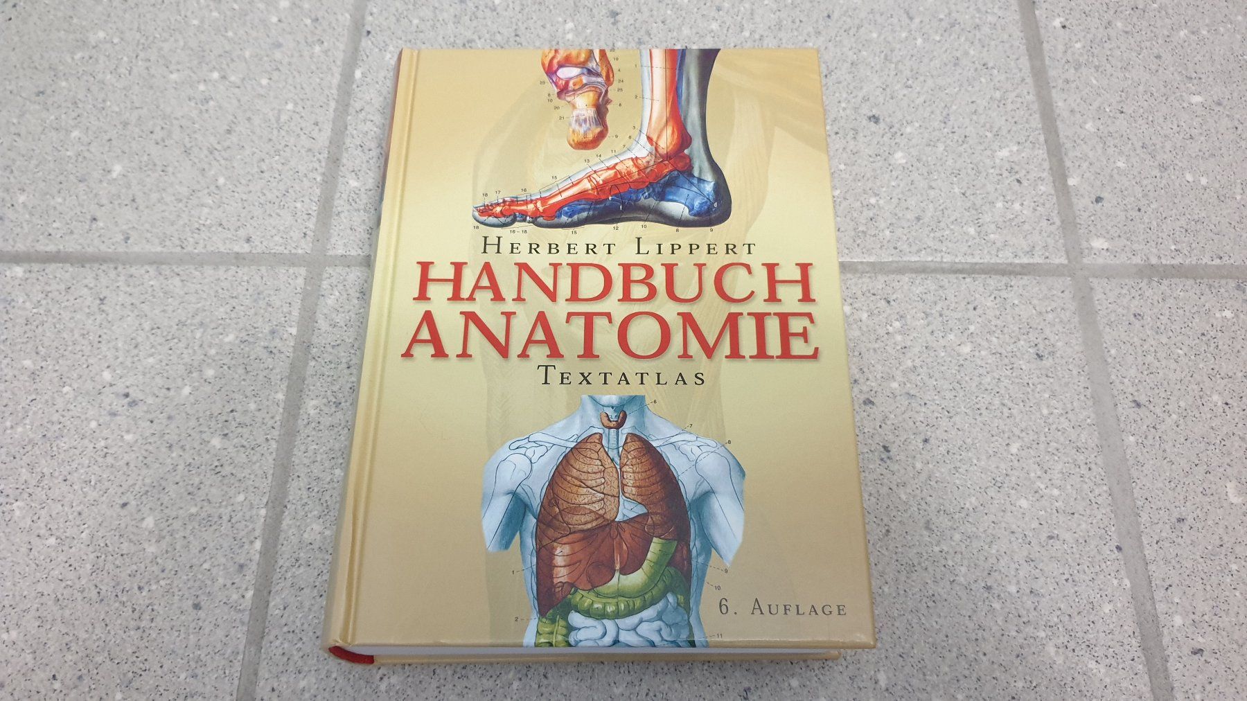 Livres: Handbuch Anatomie – D'occasion à Stäfa par Supertramp73