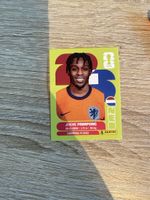 Panini NED 8