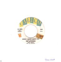 THE SKYLINERS