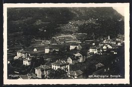 Malvaglia Rongie, Teilansicht mit Bäume