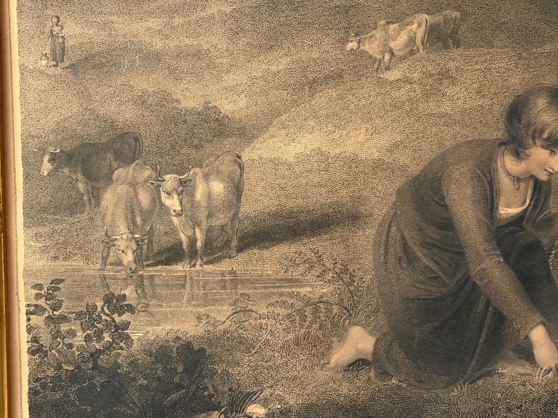 Dipinti: 1800 Gravur von Robert Mitchell Meadows British Museum – Usato da Basel venduto da PAUL_ART 3