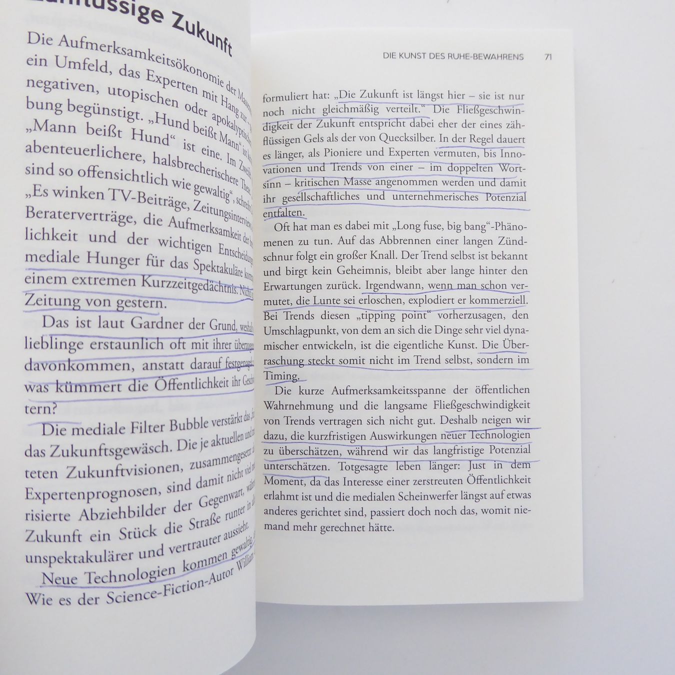 Libri: Die Stein Strategie - Holm Friebe – Usato da Basel venduto da Kunterbunt12 6