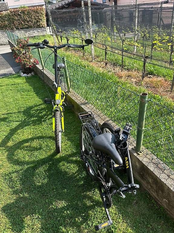 Biciclette: Biciclette pieghevoli – Usato da Arbedo venduto da dil_r78z