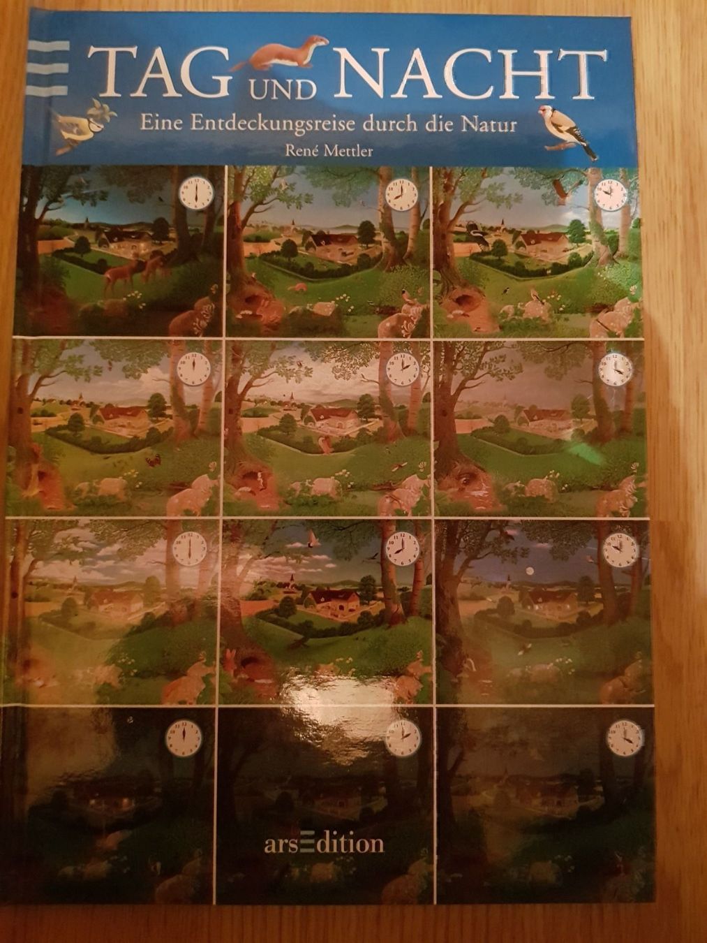 Libri: Buch Tag und Nacht – Nuovo e nell'imballaggio originale da Schwarzenburg venduto da Flamingo07