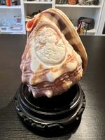 Coquillage avec camée sculpté d’un visage, pièce unique rare