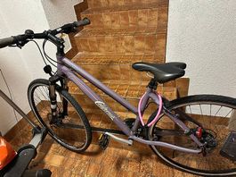 California Avalon / Ally Damen Trekkingbike  Neuzustand