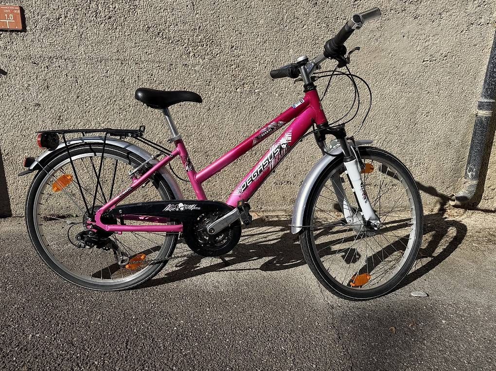 Biciclette: Kinder Velo Pegasus – Usato da Riehen venduto da pau_vl6b
