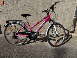 Kinder Velo Pegasus