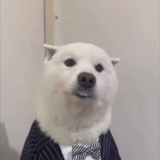 Profile image of Bengo_J
