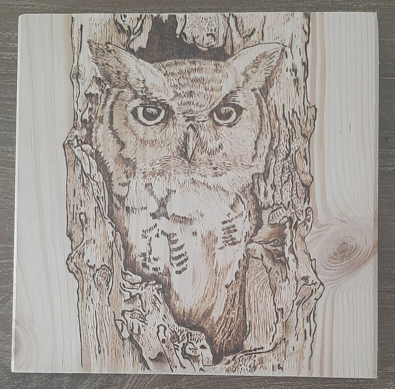 Articoli in legno: Die Eule - Brandmalerei – Nuovo (secondo la descrizione) da Seewen SZ venduto da EK-CH-65