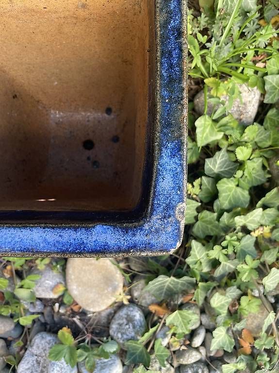 Blumentöpfe: Blauer, frostfester Tontopf – Gebraucht aus Aeugst am Albis von mia_7p89 3