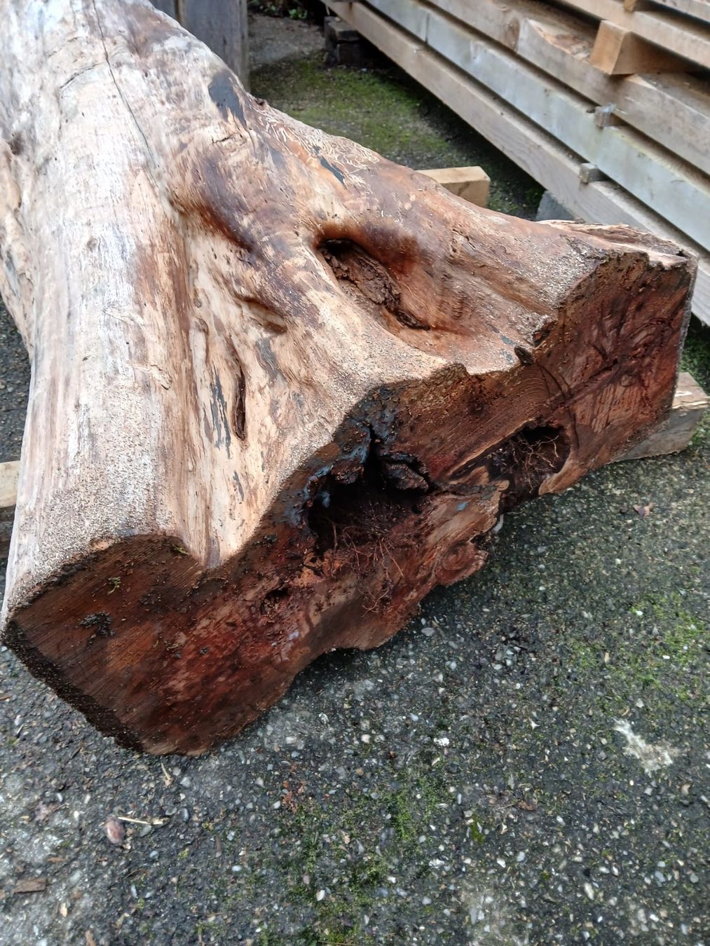 Holzartikel: Apfelbaum 1.6m – Gebraucht aus Häggenschwil von amm_6jdq 3