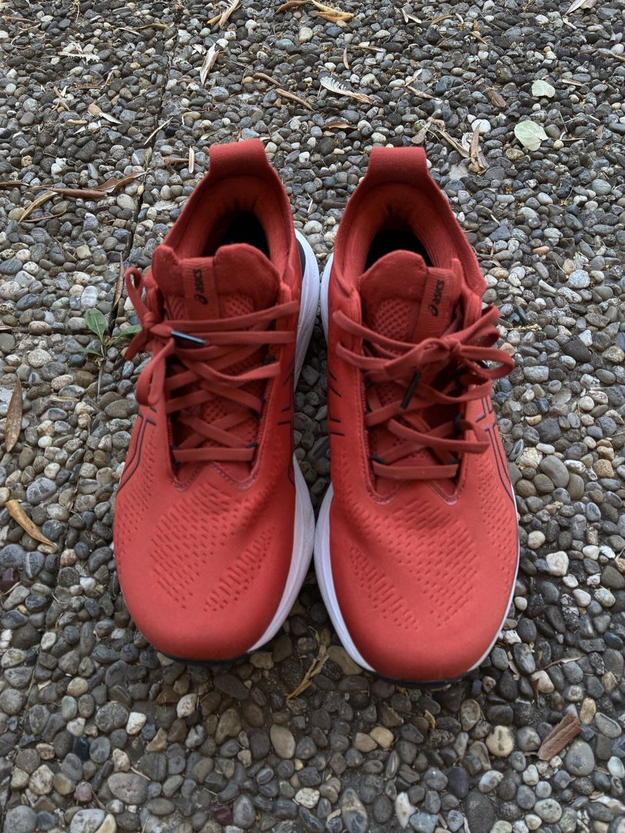 Asics Herrenschuhe: ASICS Gel Nimbus 25 – Gebraucht aus Gerlafingen von karmate