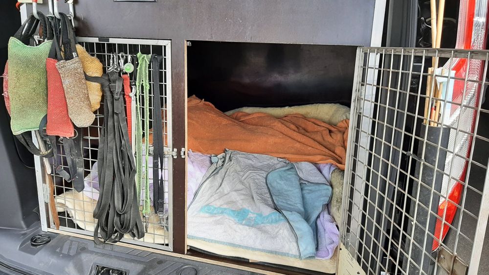 XXL Hundebox Spezialanfertigung mit integrierter Lüftung Kaufen auf