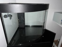 Juwel Eckaquarium 190l