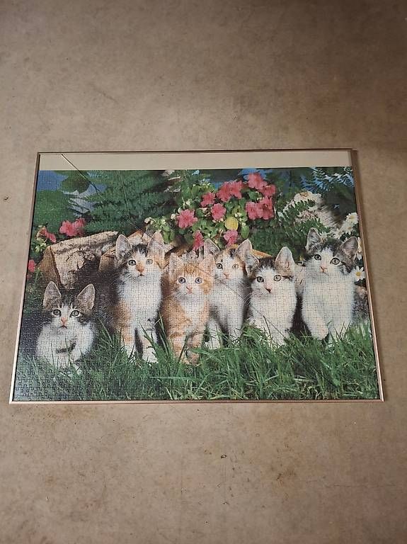 Ravensburger Puzzle: Puzzle – Usato da Langnau i. E. venduto da Li20 2