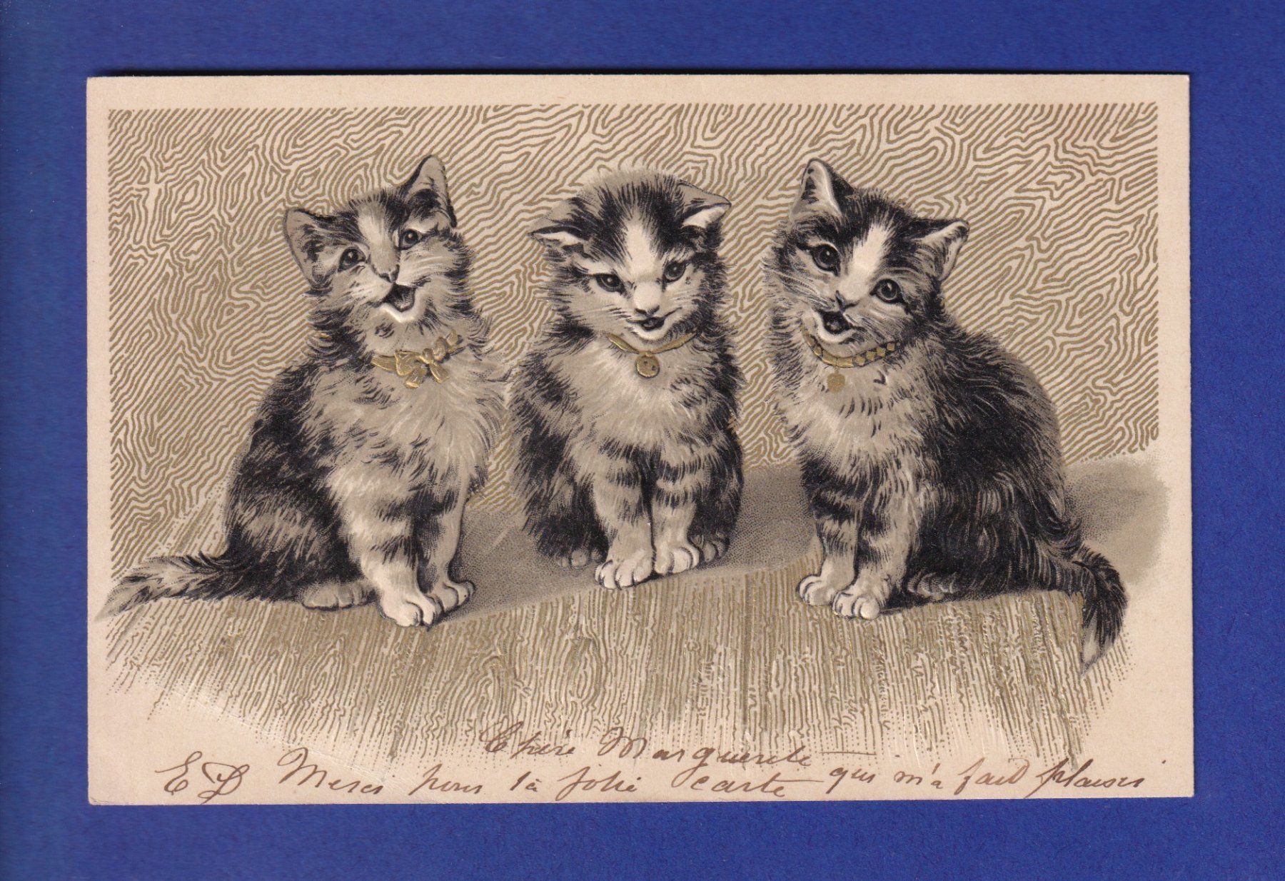 Cartoline postali: CHAT - 3 chats - Carte gauffrée // pli // – Usato da Pully venduto da nicecards-shop