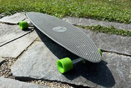 Penny Longboard grau/grün