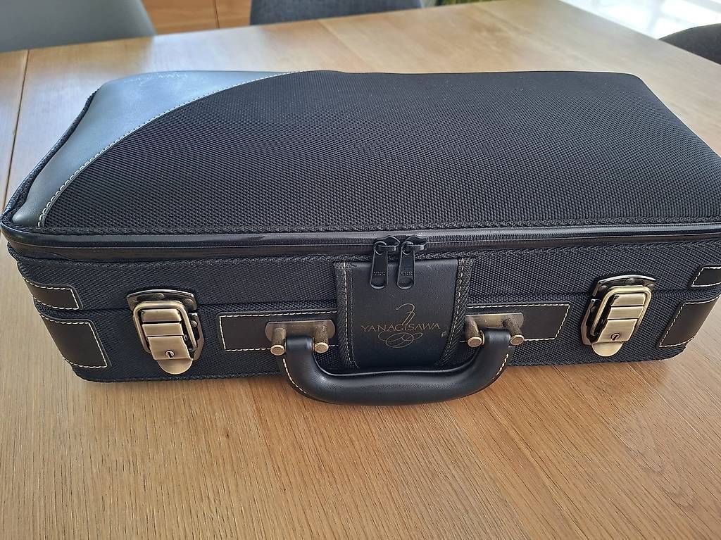 Strumenti musicali: Saxophone soprano courbe  – Usato da AIGLE venduto da jua_7np8 2