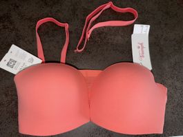 BH TRIUMPH 02, neu
