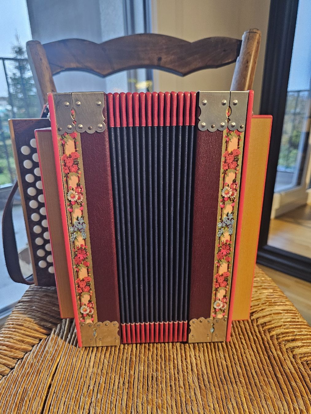 Instruments de musique: Schwyzerorgeli Edgar Ott TN – Neuf (Voir description) à Perly par gae_8qhq 1