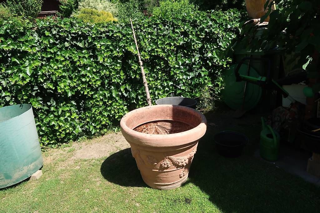 Blumentöpfe: Gartentopf gross – Gebraucht aus Uznach von bru_h6qy 2