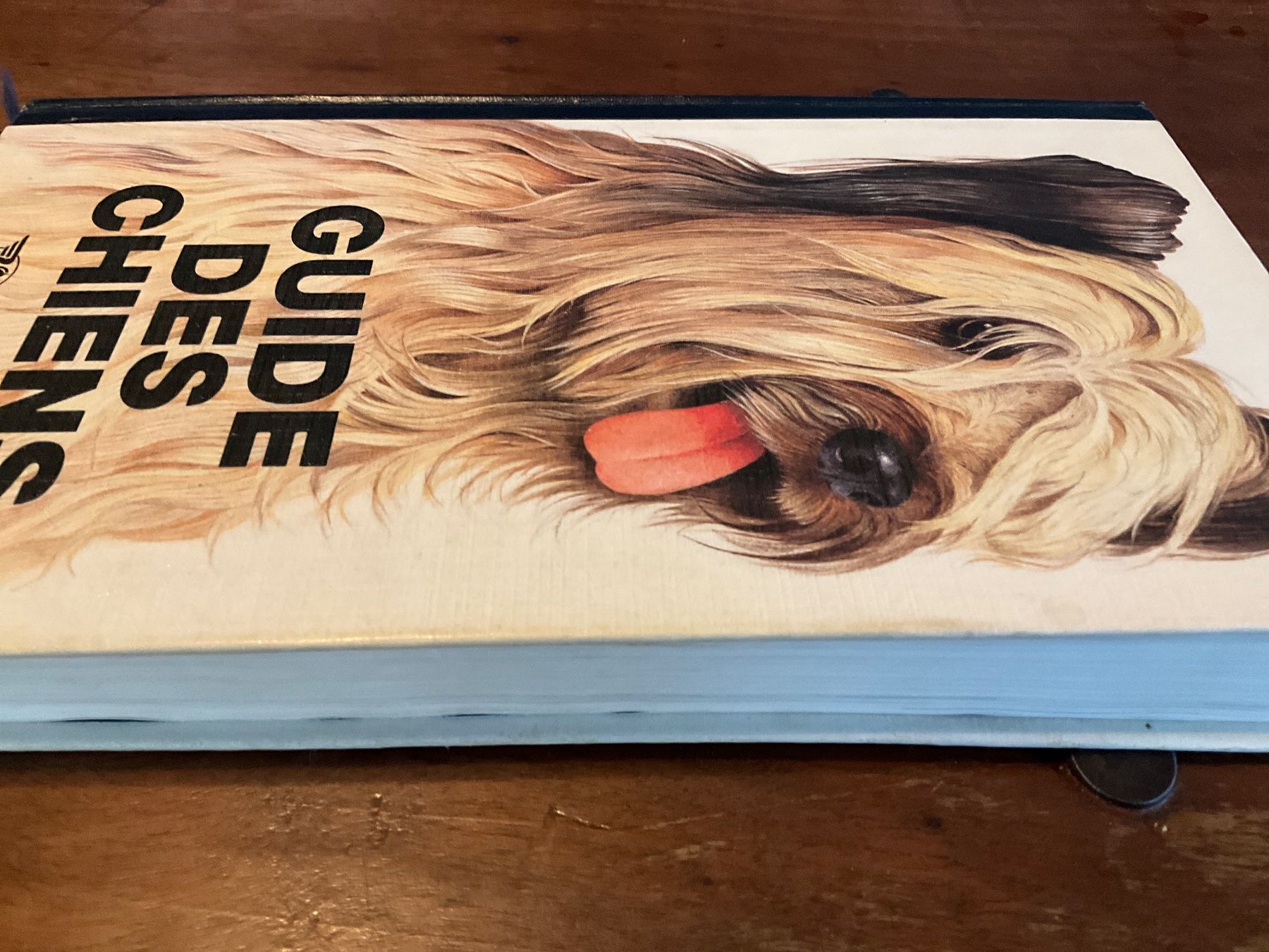 Livres: Guide des Chiens Sélection Reader's Digest – D'occasion à Avenches par Lactobacille 8