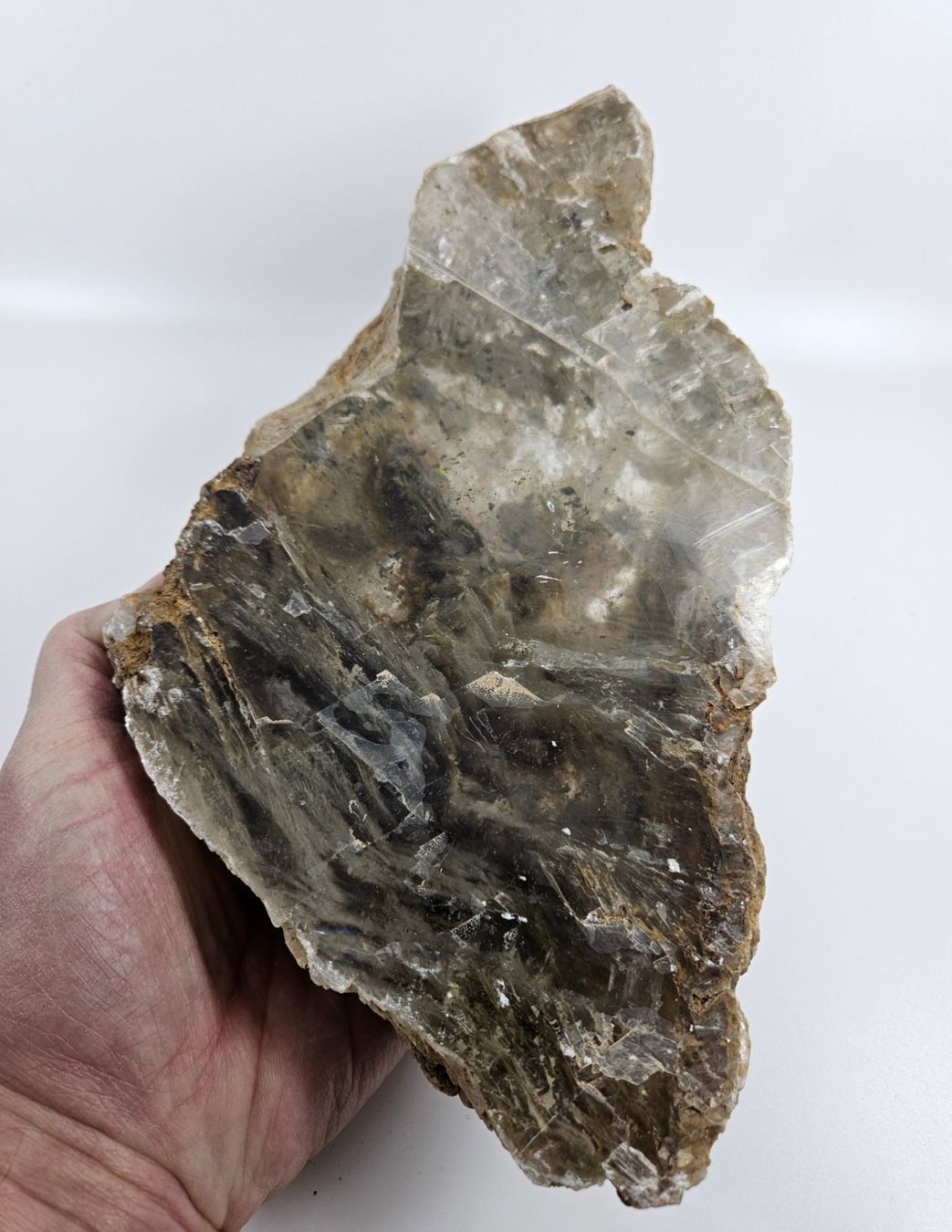 Minerali & Pietre curative: Gipsstufe, Südtunesien – Usato da Uzwil venduto da Chobel1