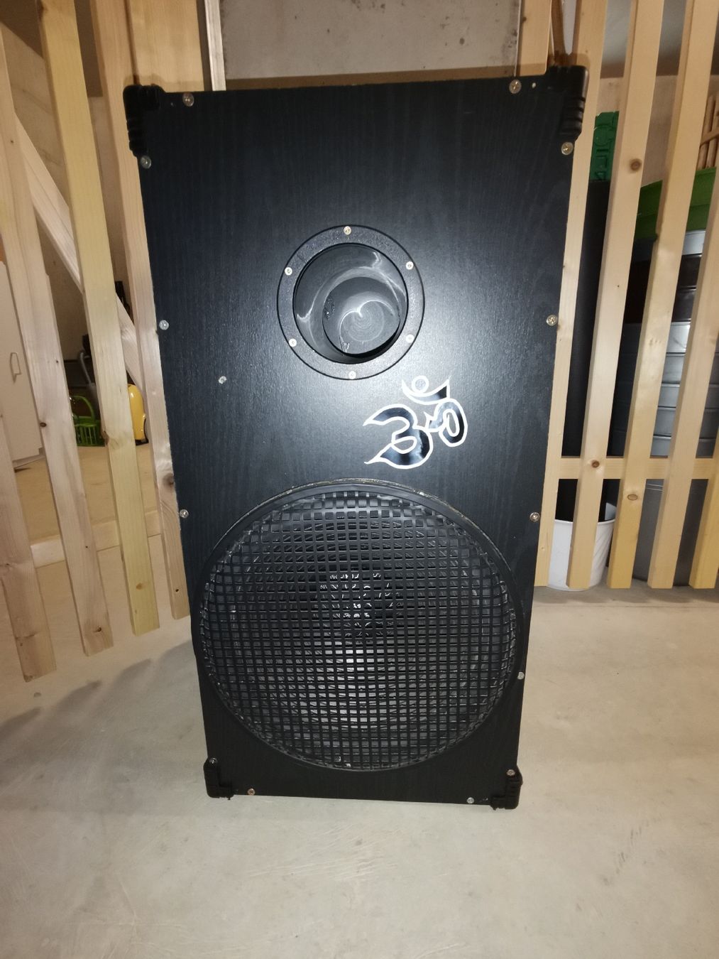 Casse acustiche: Subwoofer mit Doppelschwingspule – Usato da Rüti ZH venduto da Fido20 1