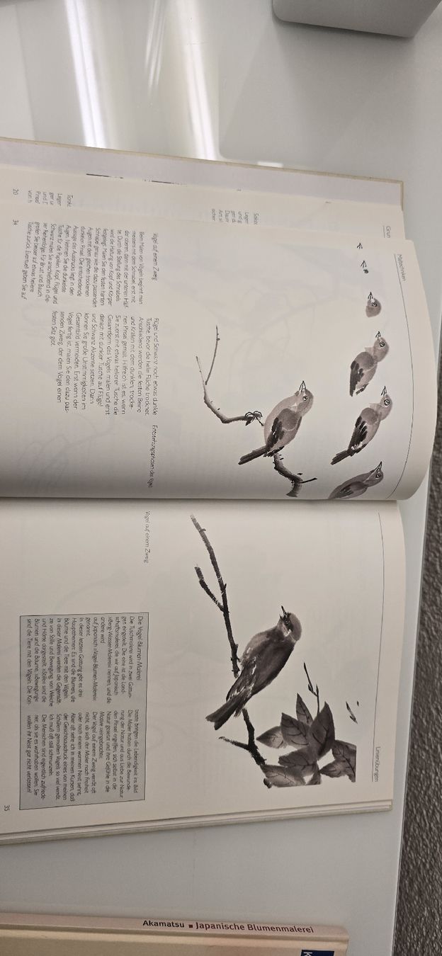 Libri: japanische Blumen- und Tuschmalerei – Usato da Ostermundigen venduto da Velora 2