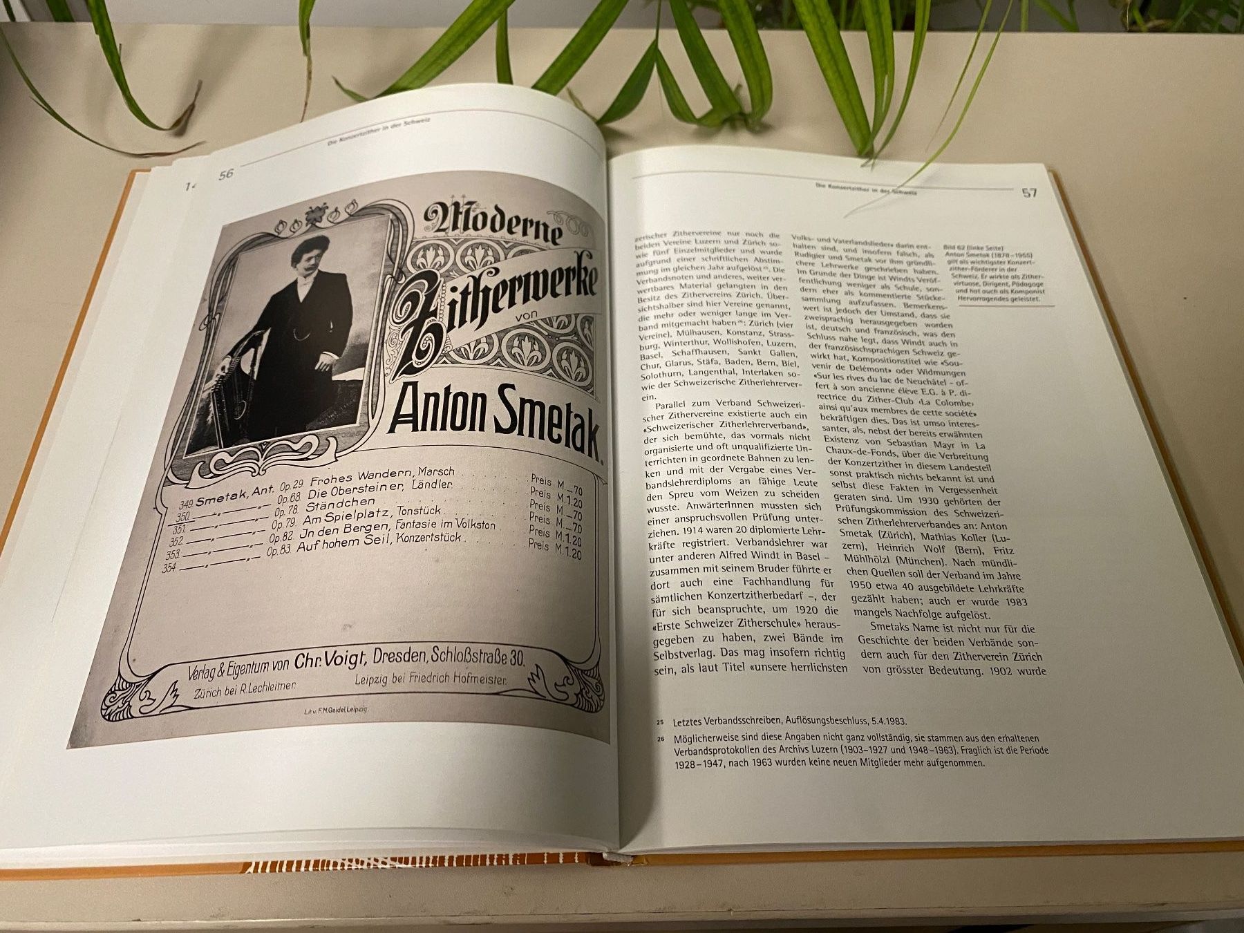 Libri: Buch "Die Zither" Entwicklungsgeschichte ! – Usato da Brügg BE venduto da rutschimedizin 2