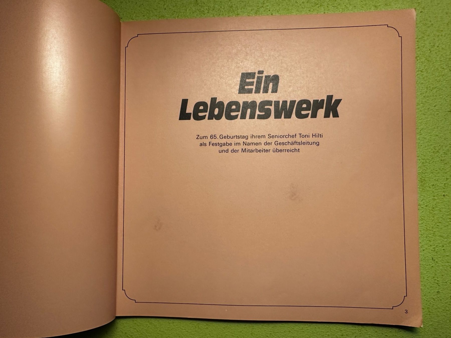 Libri: Die Entstehung der Hilcona. Ein Lebenswerk. – Usato da Zürich venduto da allp 1