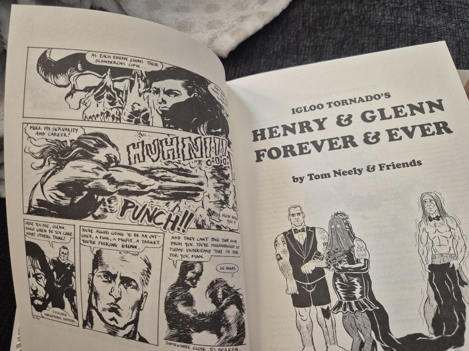 Livres: Henry & Glenn Forever & Ever Buch – Neuf (Voir description) à Thun par Kissthis 1