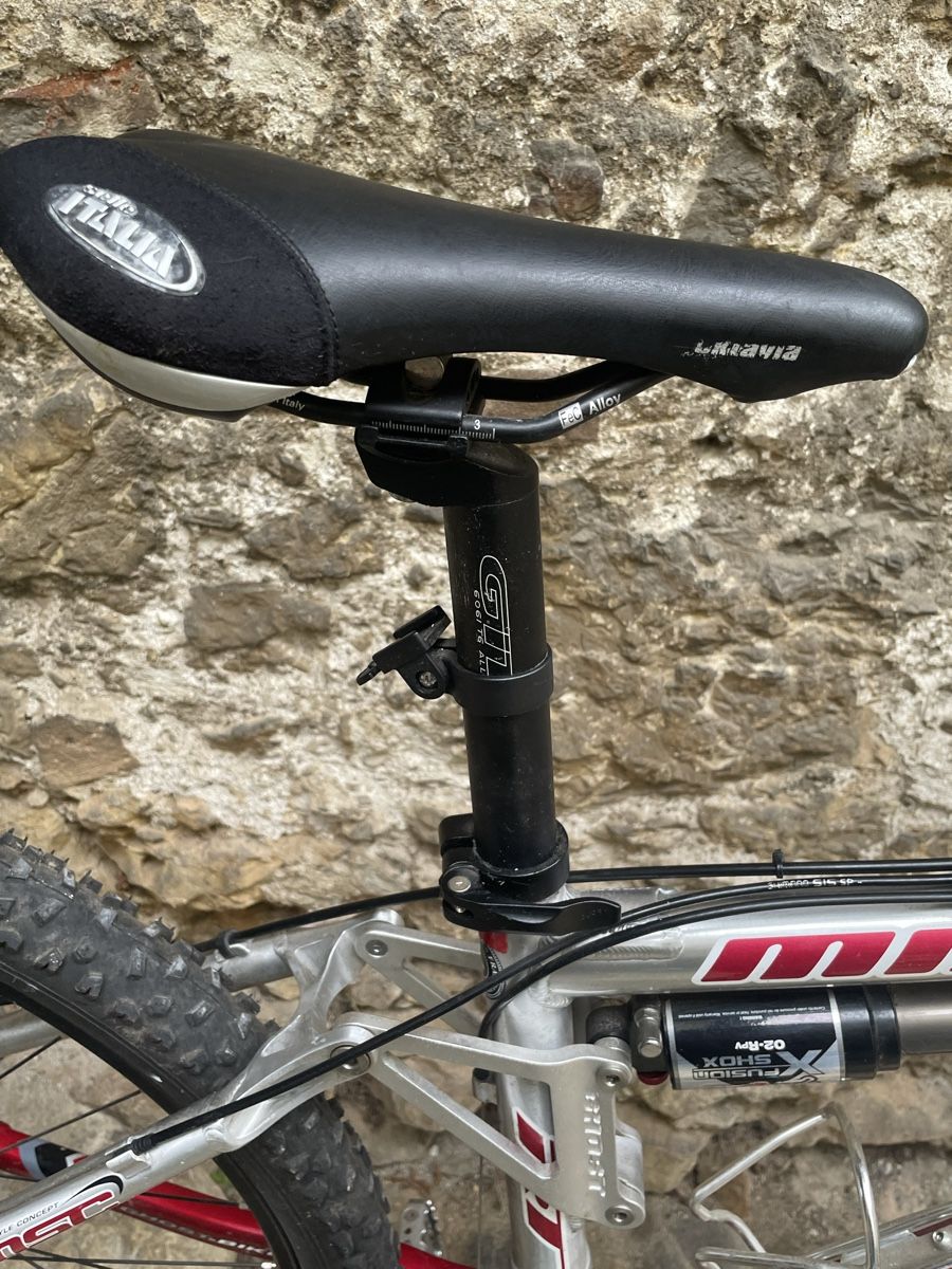 Ghost Vélos: Mountainbike Ghost Miss – D'occasion à Tüscherz-Alfermée par Pike77 7