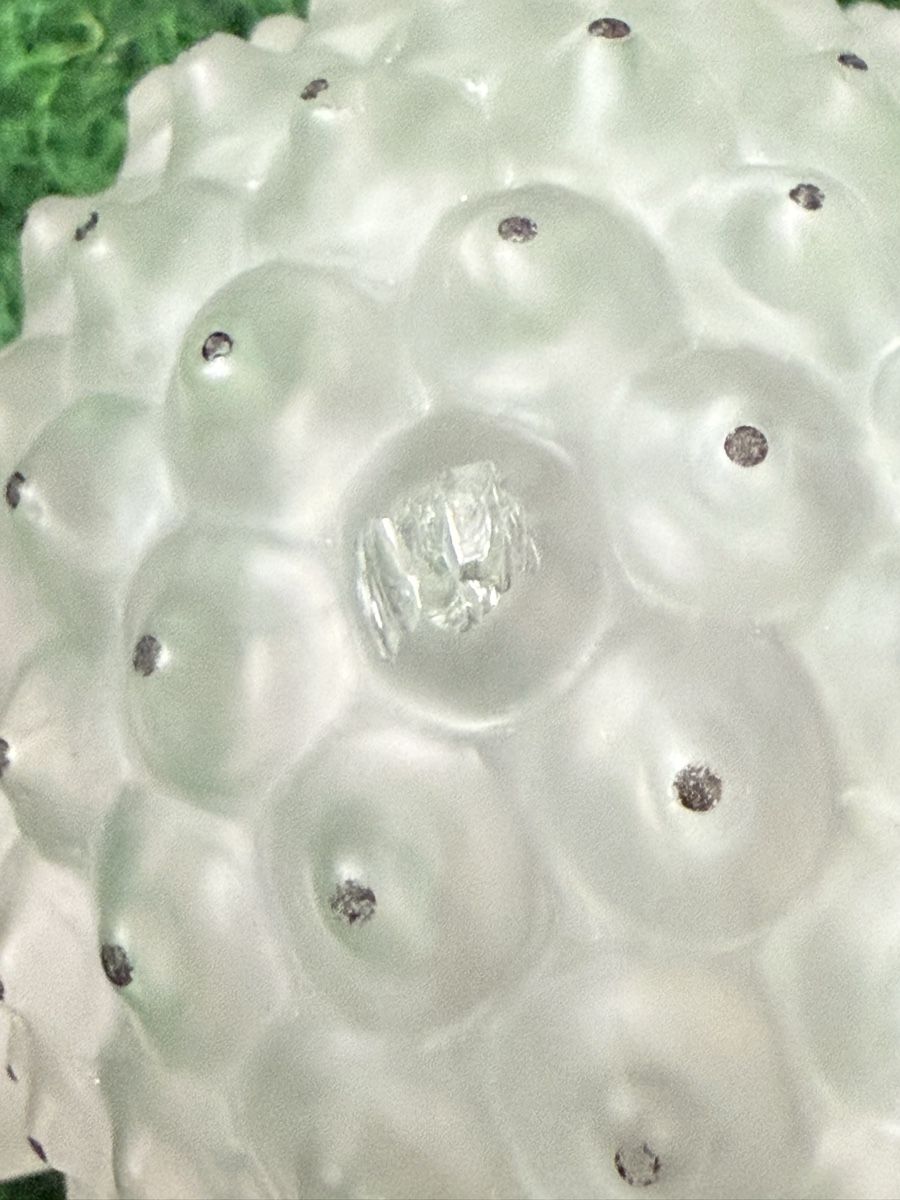 Lalique Flaconi: Flacon de parfum Lalique – Usato da Payerne venduto da Maylin2018 6