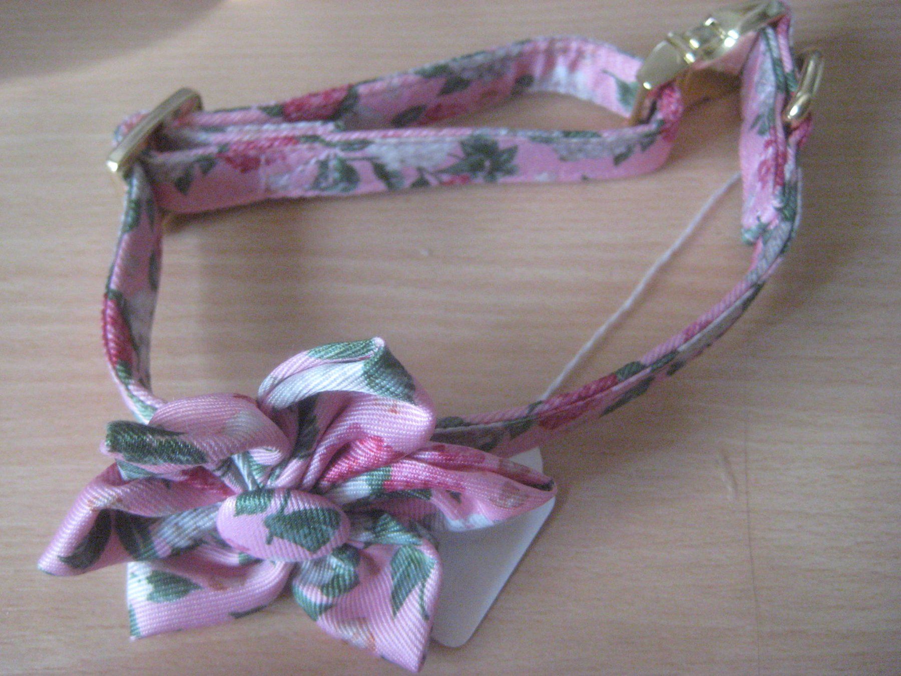 Collier et laisse: HUNDE SET LEINE UND HALSBAND – Neuf (Voir description) à Uster par flocke1 2