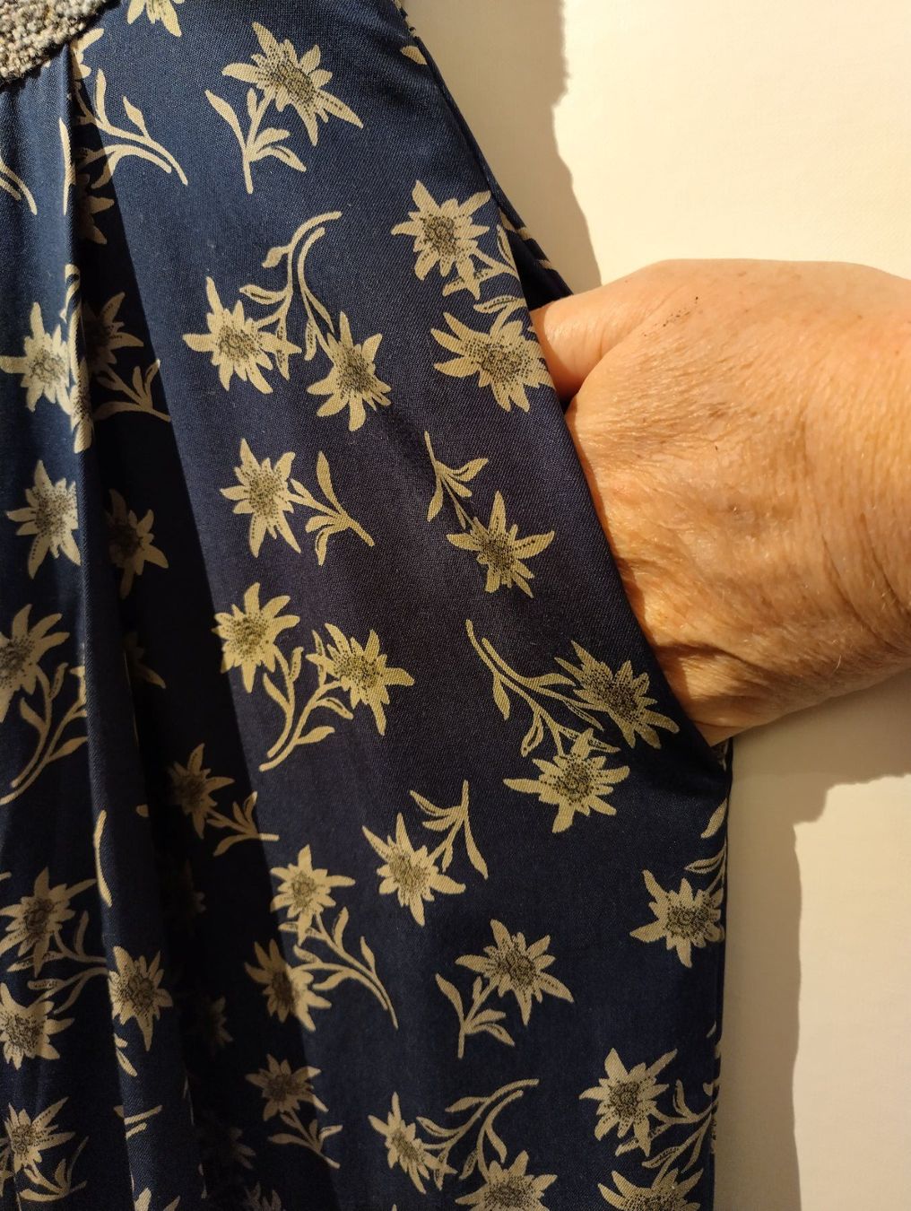 Kleider: Dirndl Kleid mit Edelweiss Gr 40 – Gebraucht aus Thun von schriner67 3
