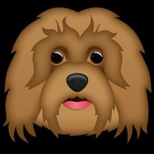 Profile image of Otti2015