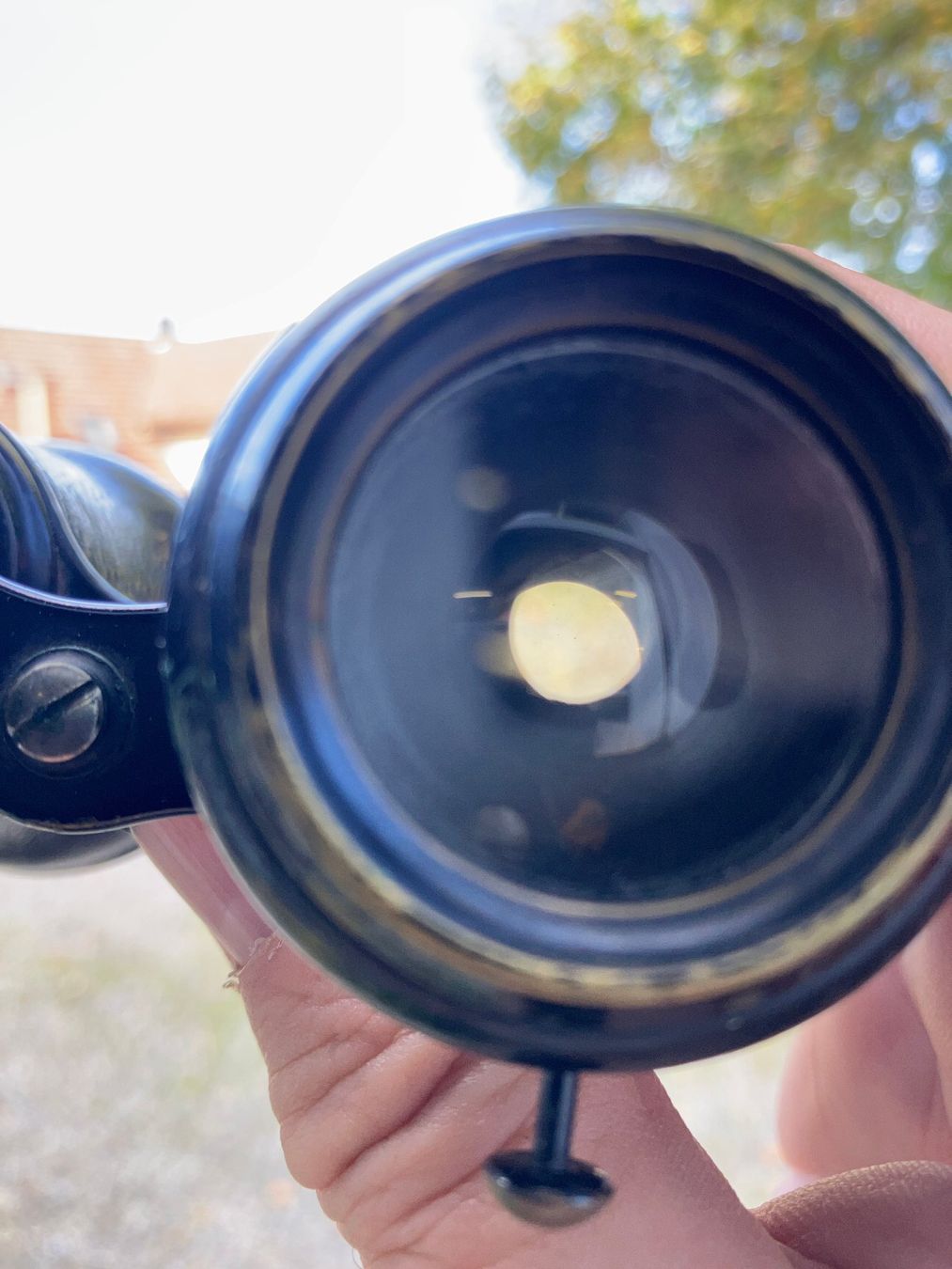 Feldstecher: Fernglas mit Lederetui Box – Gebraucht aus Horw von luzernicus 5