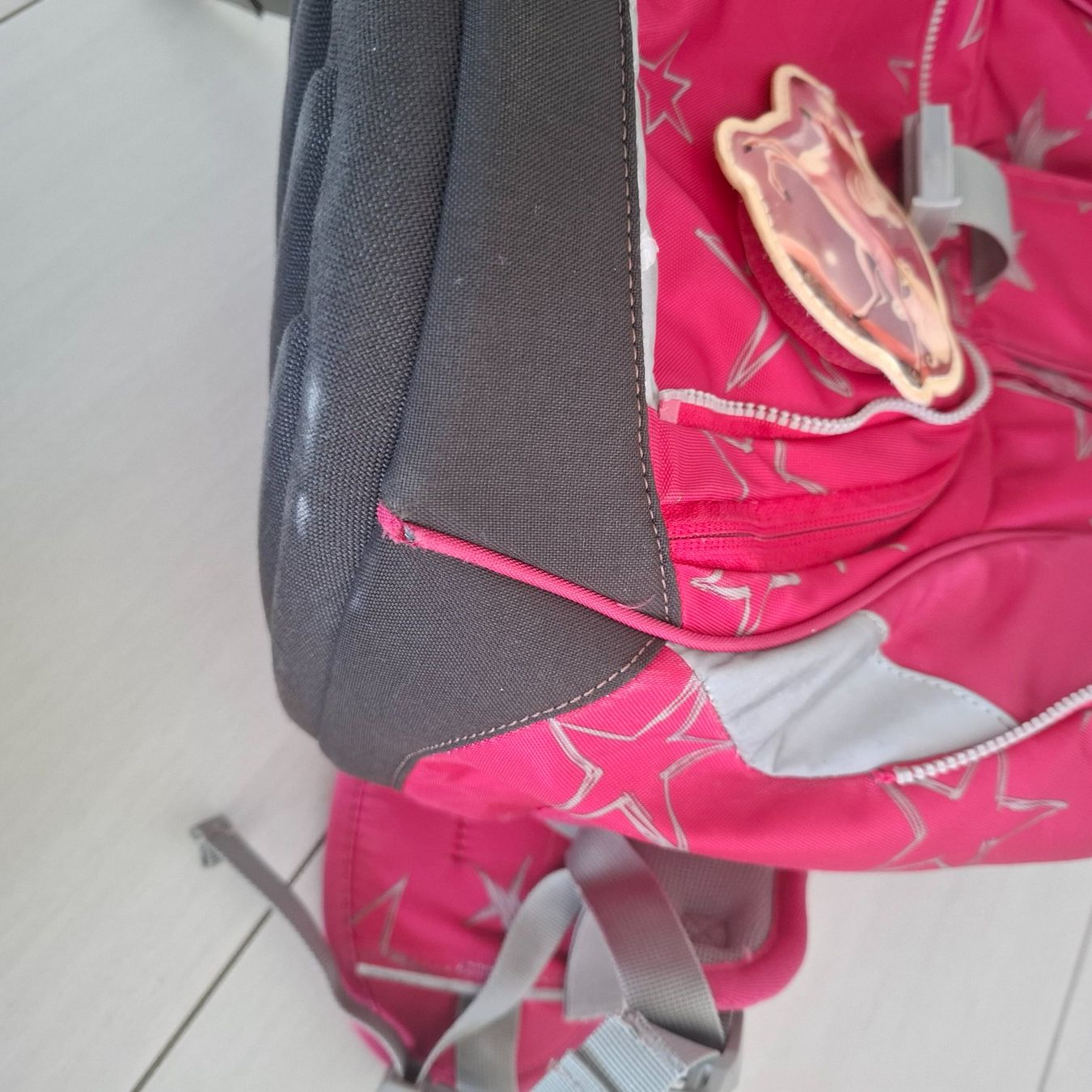 Ergobag Borse & Zaini: Ergobag Schuelthek – Usato da Schöftland venduto da mir_f9w6 3