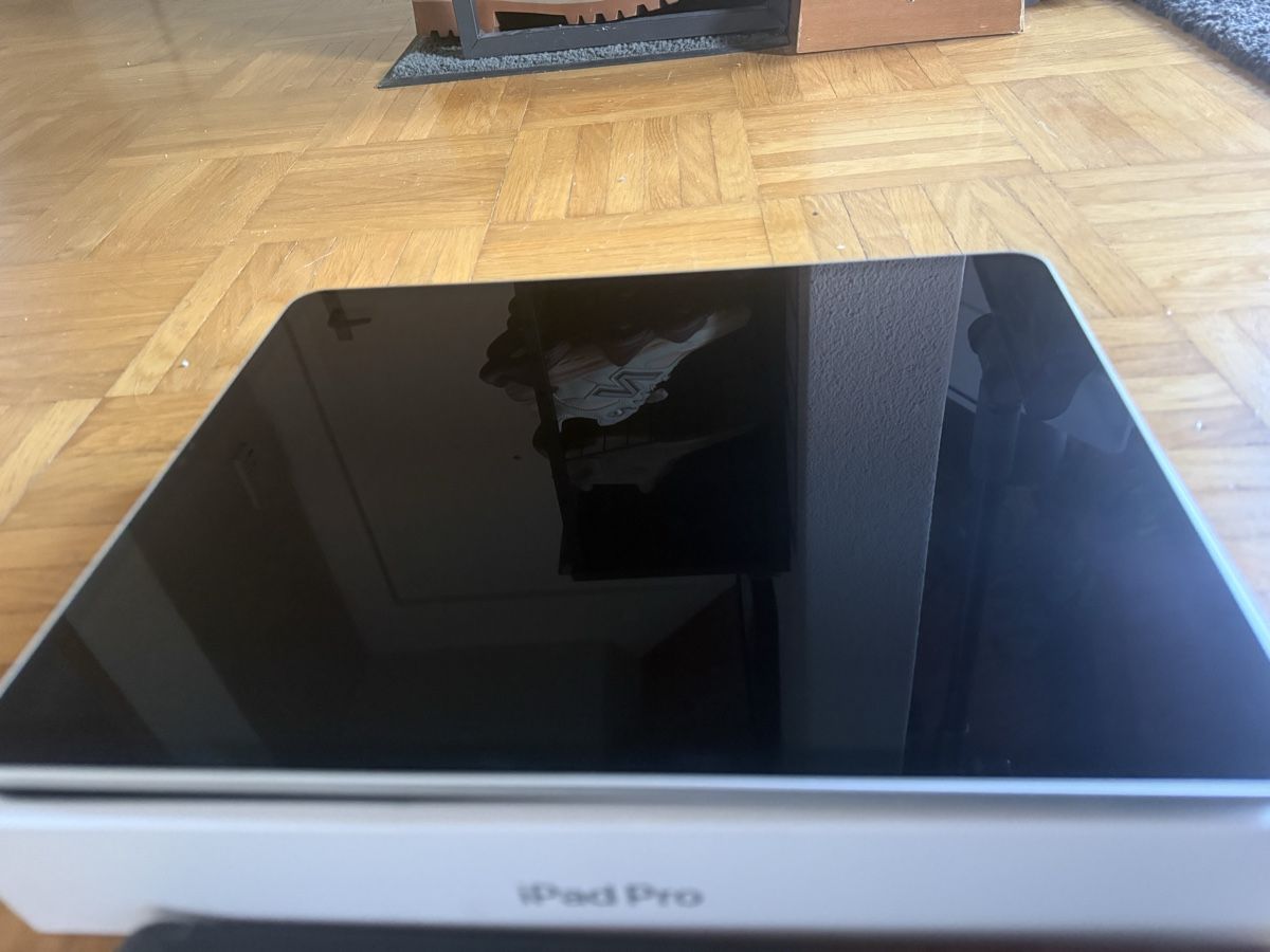 Apple Tablet PC: Pristine iPad Pro 12.9" 2020 (4th Gen) - Great Condition – Usato da Hedingen venduto da pmf_d6x5 1
