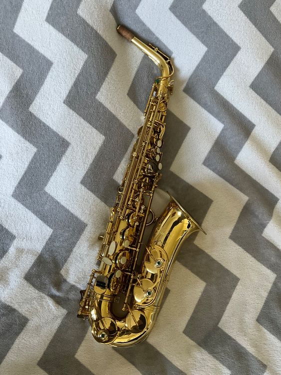 Es Alto Saxophone Chicago Medusa (Gebraucht) in Urdorf für CHF 1900 ...