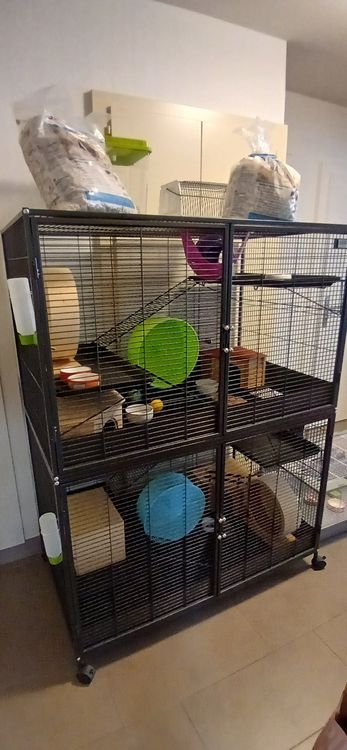 Cage à Insectes - Cikonielf - Pliable En Bâton - Maille Respirante - Compacte Et Portable