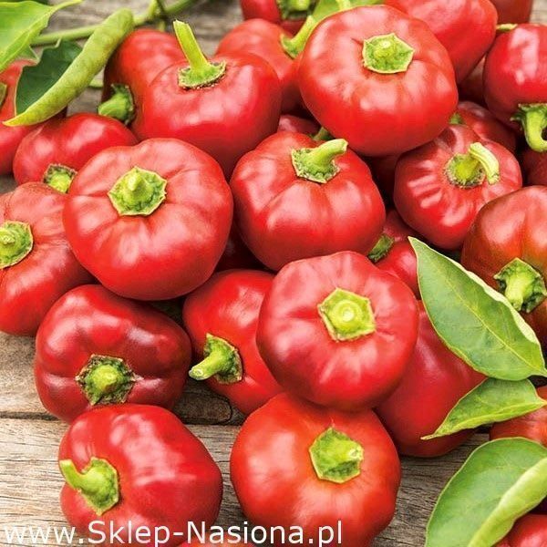 Piante & sementi: 50 Samen DUMAS Paprika Süss – Nuovo (secondo la descrizione) da Ehrendingen venduto da VerveinaSamen 2